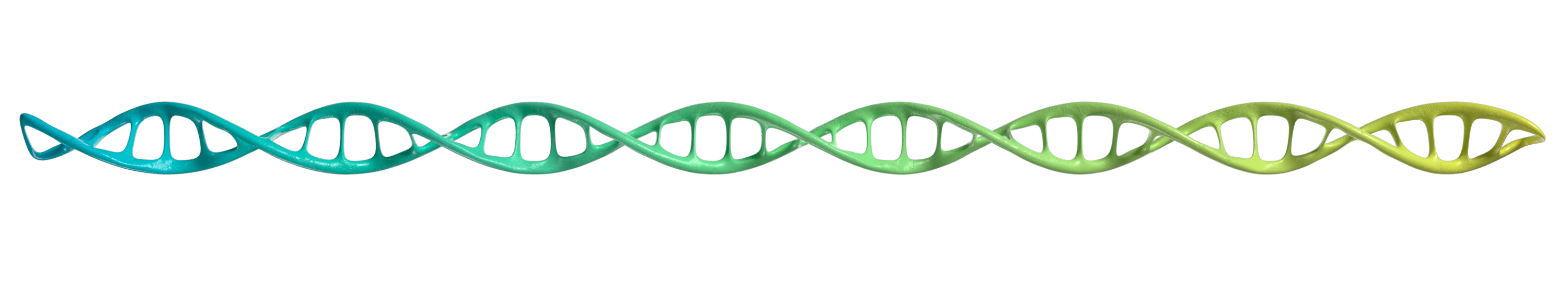 DNA Animation