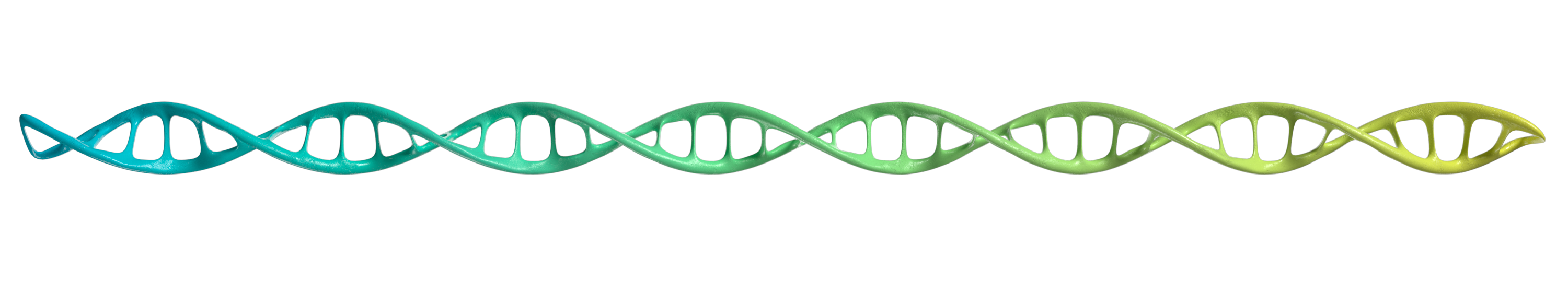DNA Animation